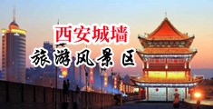 大鸡巴操浪逼视频网站中国陕西-西安城墙旅游风景区